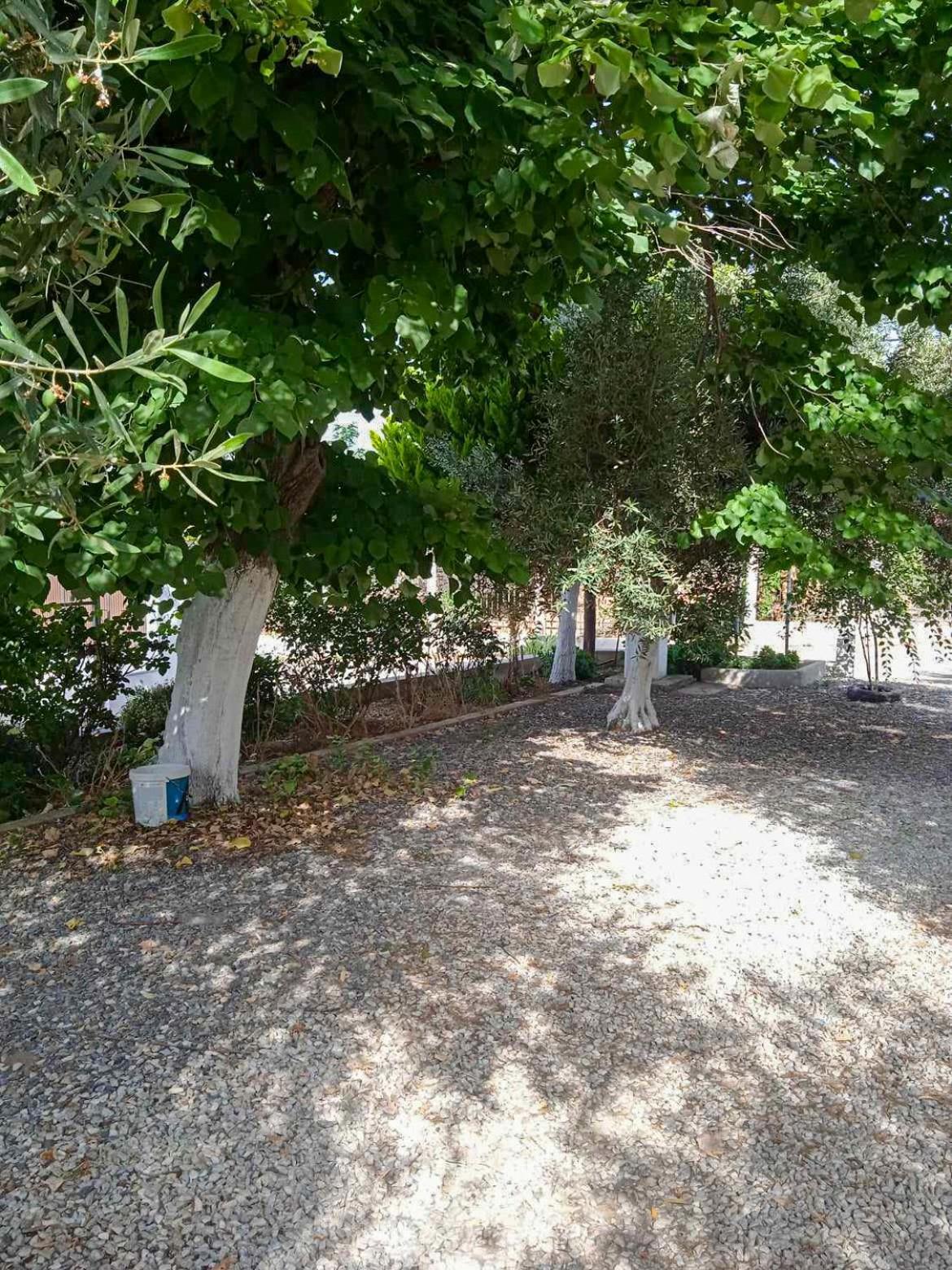 Κυανή Ακτή - Agia Paraskevi Makri Exterior photo
