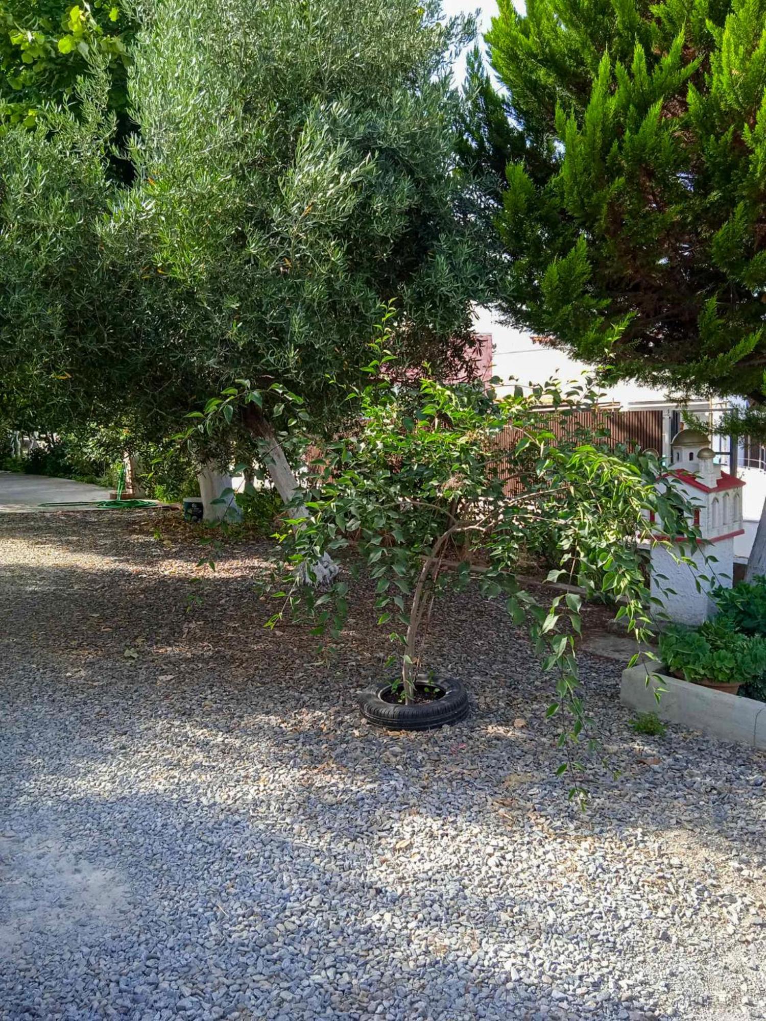Κυανή Ακτή - Agia Paraskevi Makri Exterior photo